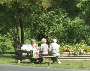 Wander-Picknick im Elsass 